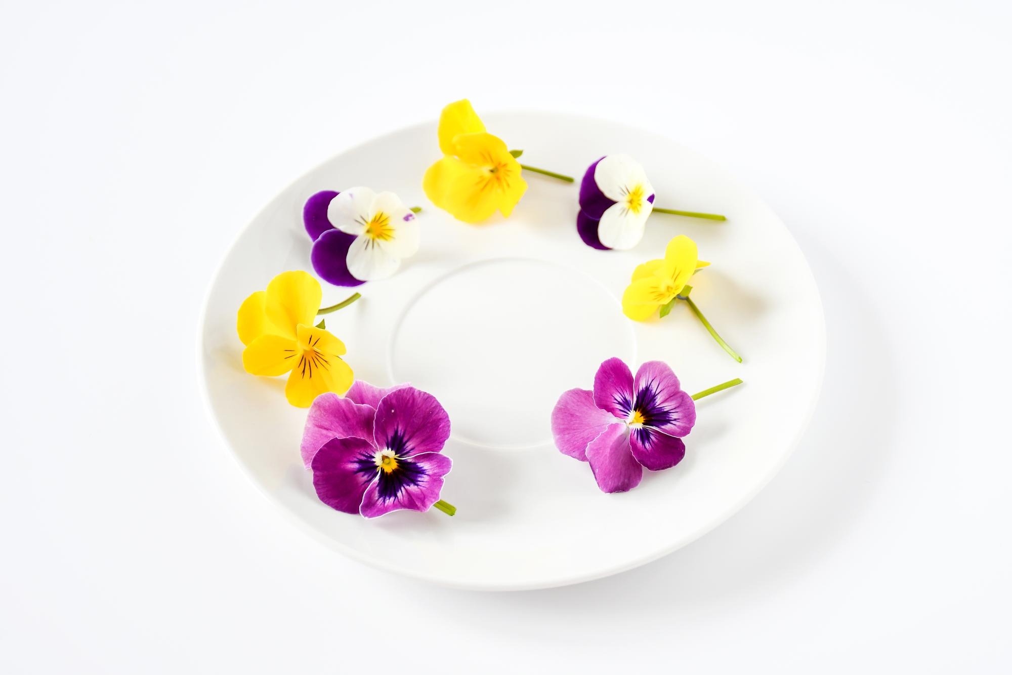 Minimalne danie fine dining z jadalnymi kwiatami